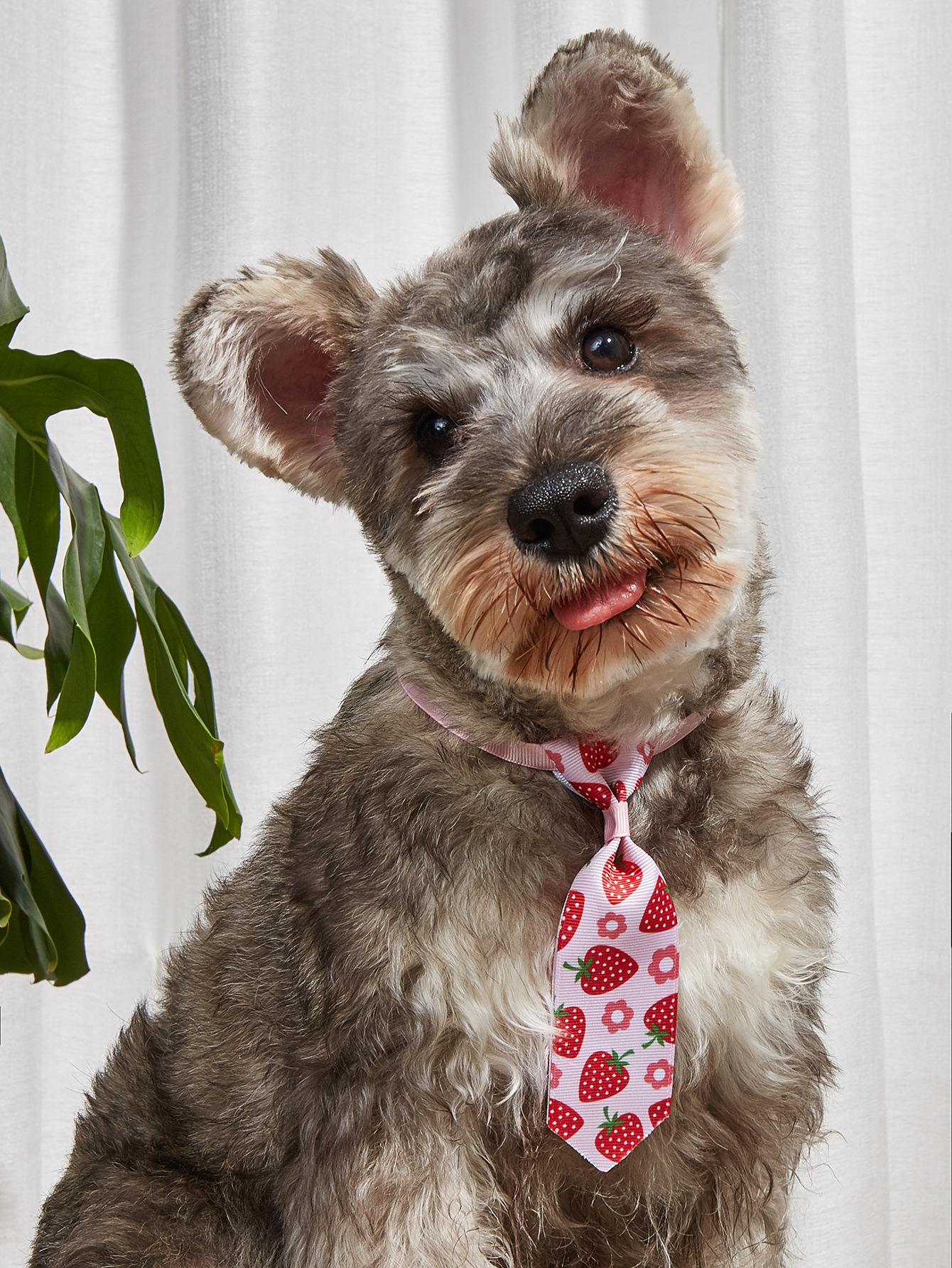 Colorful Bow Tie Pet Head Wear Puppy Bow Tie Pet Tie Cat And Dog Bow Tie Pet Bow Tie